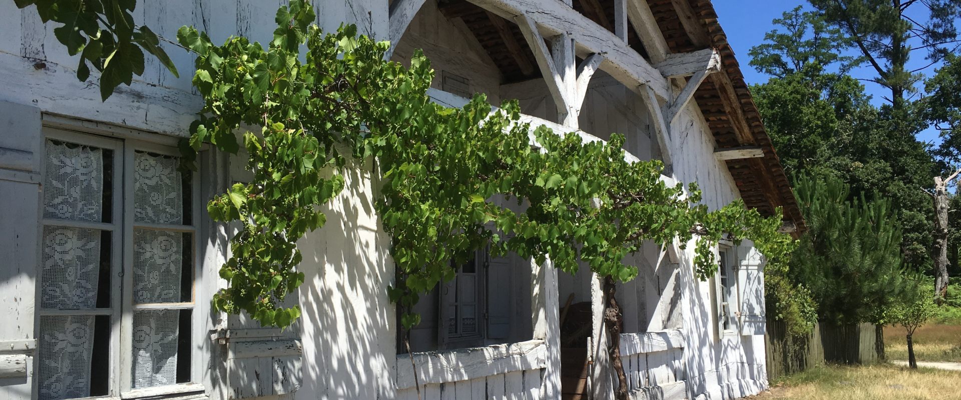 Maison en vente avec façade contemporaine